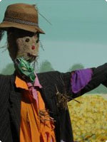 Bird Scarer Scarecrow